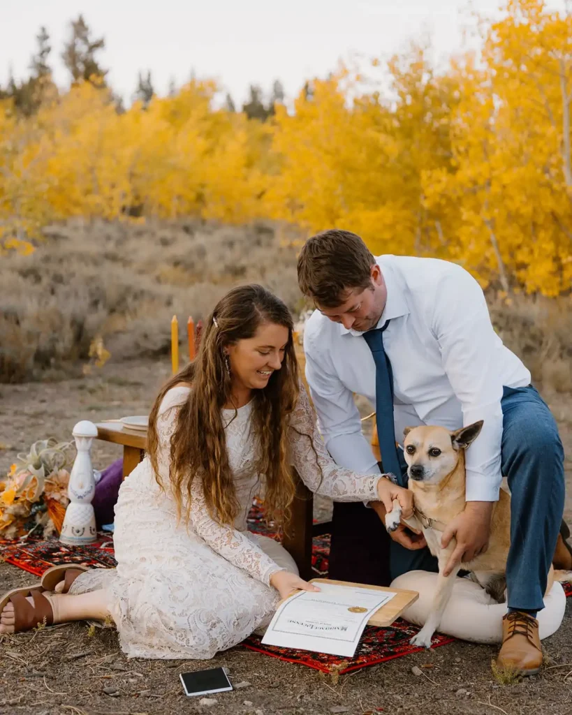 Have your dog sign your marriage license with a paw print in colorado elopement