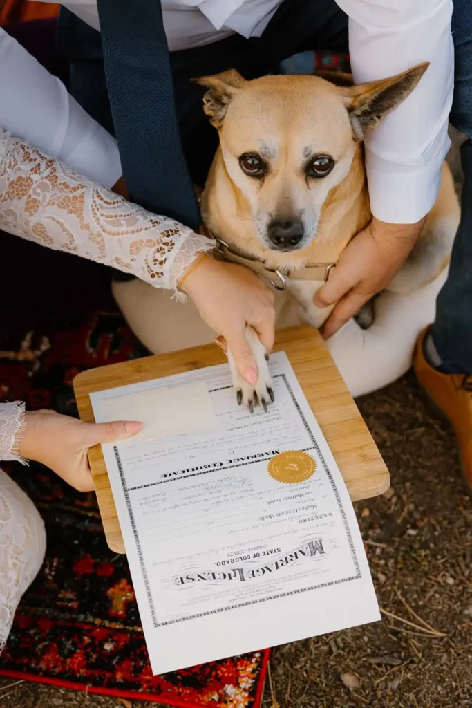 Elopement planning tips from a Vail Wedding Photographer